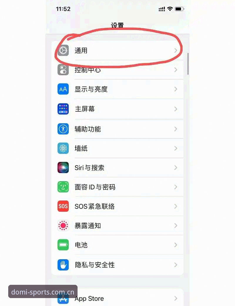多米体育手机登录实用指南：从闪退到流畅的完整解决方案